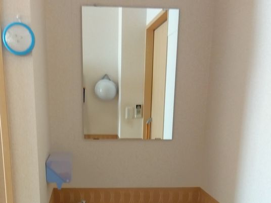 洗面台と鏡のある部屋  