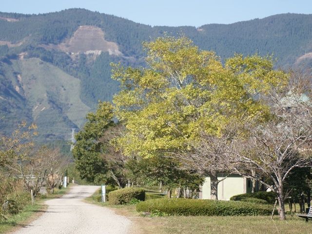 緑豊かな中庭 周辺環境 自然に囲まれた穏やかな中庭です。清々しい空気と緑の中で、心身ともにリラックスできる環境が整っています。