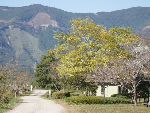 緑豊かな中庭