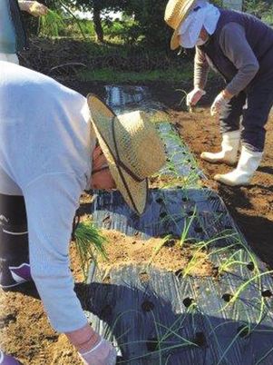 農作業に勤しむ人々