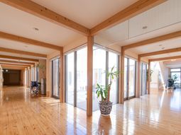 明るい廊下と植物