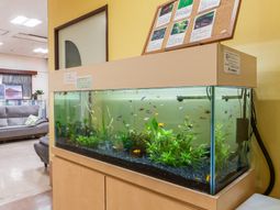 魚のいる水槽の壁際