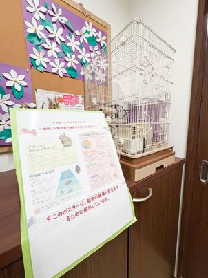 動物ポスターと鳥の部屋