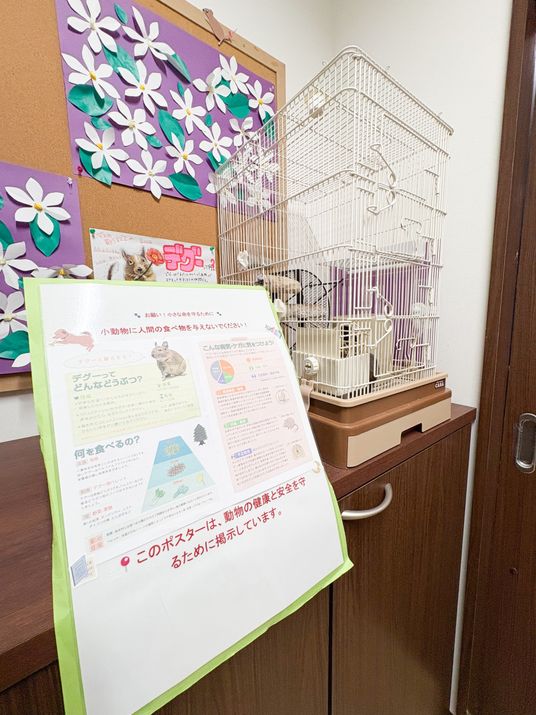 動物ポスターと鳥の部屋