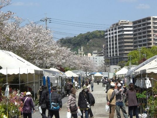 桜並木の市場風景