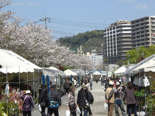 桜並木の市場風景