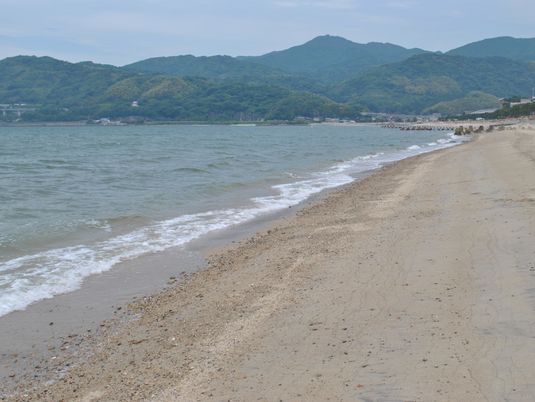 静かな海辺の風景