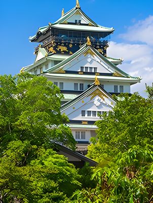 緑に囲まれた城の外観