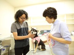 犬と向き合う職員と訪問者