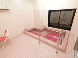 手すり付き浴槽とシャワーチェア