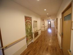 明るい廊下と装飾