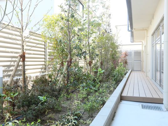 緑あふれる明るい中庭
