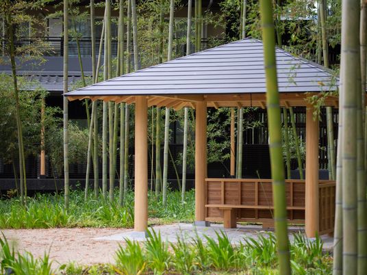 中庭の木製パーゴラ