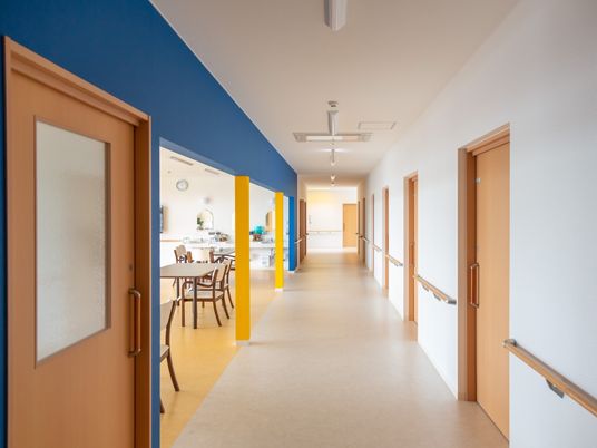 明るい廊下と開放的なダイニング