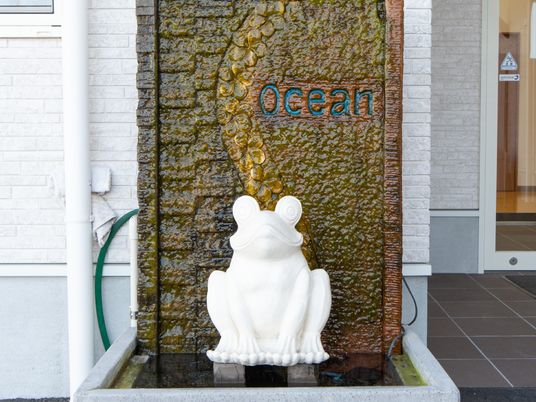 カエルの噴水とエントランス