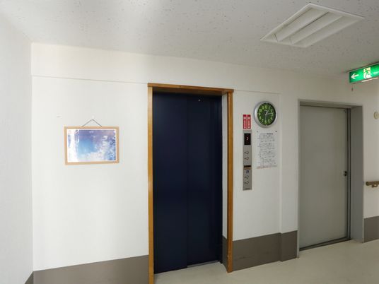 清潔感のある廊下とエレベーター