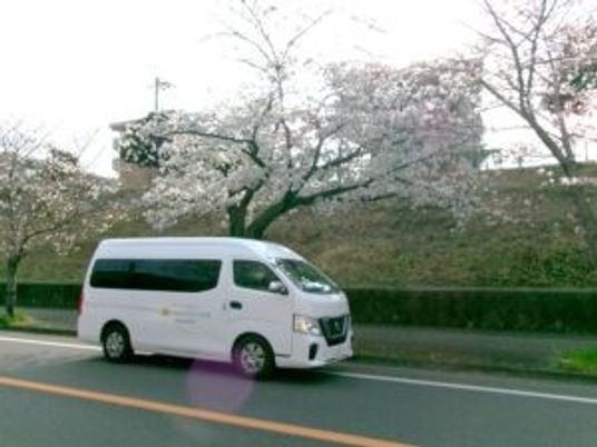 桜並木の外観道路  