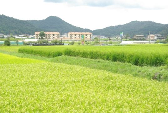 緑豊かな外観景色