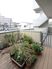 植物がある屋外スペース