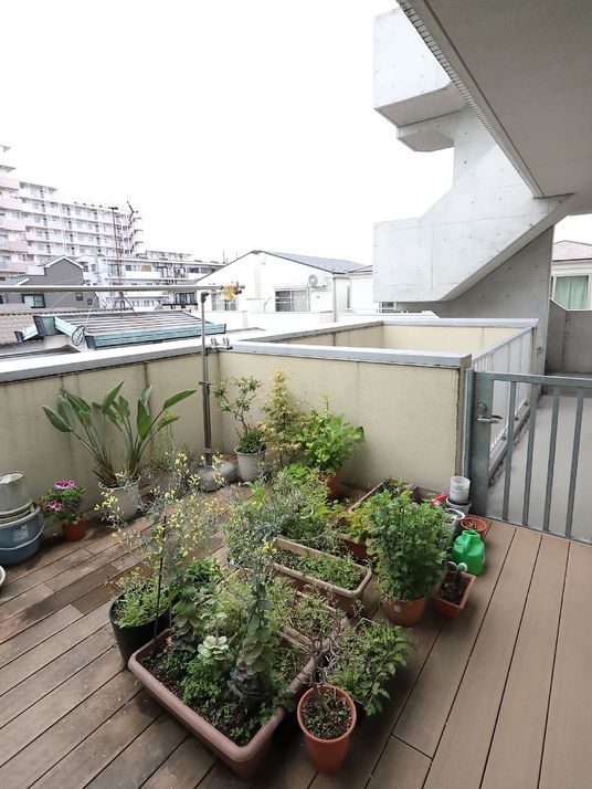 植物がある屋外スペース