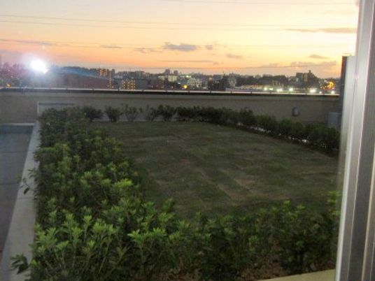 夕景の中庭  