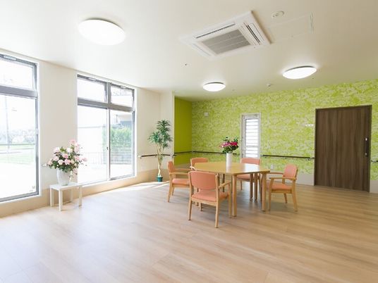 緑の壁が映えるダイニングルーム