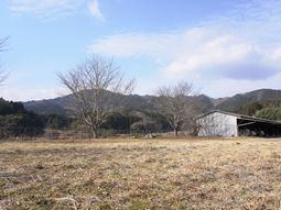 雄大な自然を背景にした施設の庭
