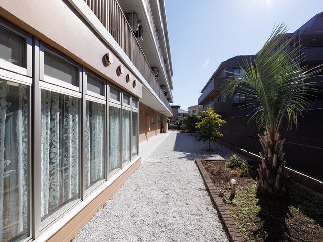 中庭と建物の通路 中庭 陽光が降り注ぐ緑豊かな中庭。通路沿いに、ゆったりと歩行訓練を行ったり、散策を楽しむことができる空間です。
