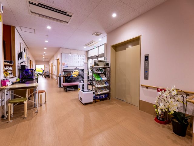 温かみのある廊下 廊下 ハンドレールが設置され、清潔感が漂う廊下です。静かで落ち着いた環境でお仕事ができる空間となっています。