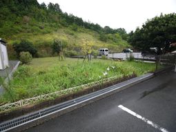 自然豊かな中庭