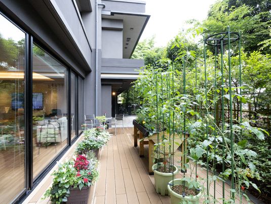 植物が並ぶ快適なテラス