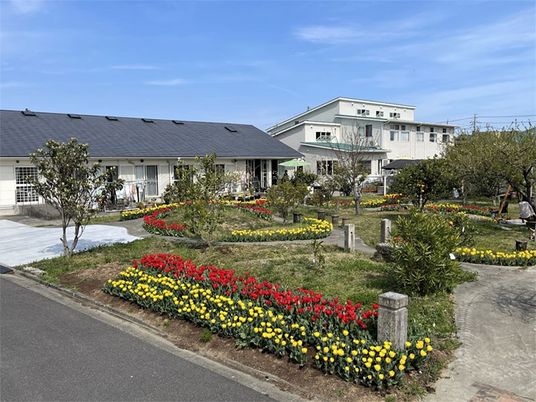 花壇のある庭  