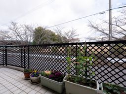 植物が並ぶバルコニー