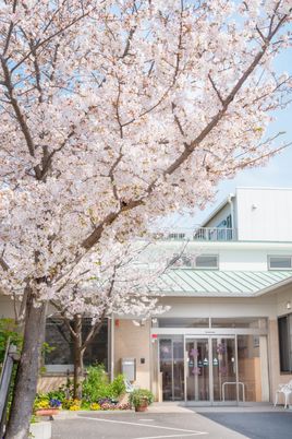 花咲く看板の前景