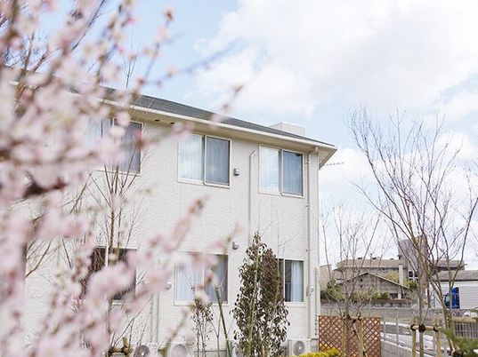 桜と建物の外観