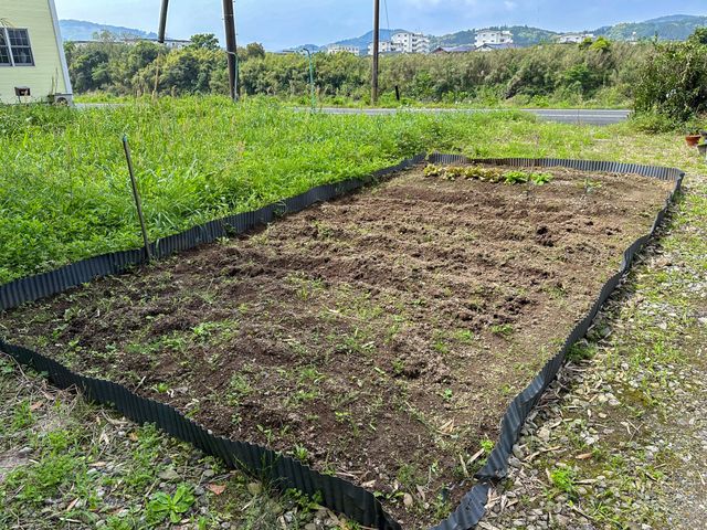 手入れされた緑の庭