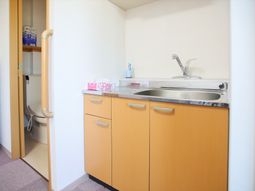 居室の洗面台とトイレ