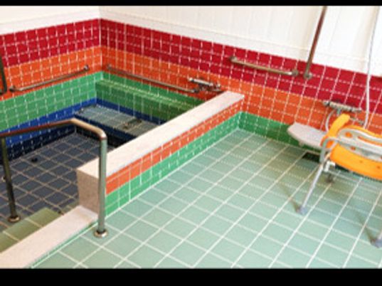 手すり付きの清潔な浴室