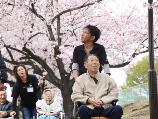 桜の季節の外出支援
