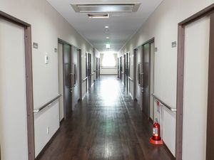 清潔で整備された廊下
