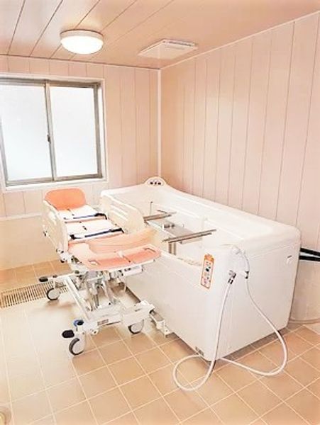清潔な浴室の機能訓練機器