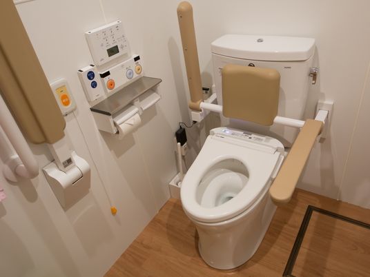 施設の写真 トイレには、茶色いひじ置きと背もたれを設置している。左側には、トイレットペーパー掛けも取りつけられている。