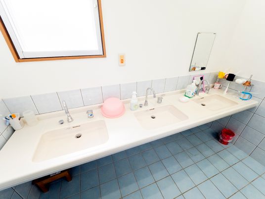 手入れされた洗面スペース