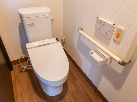 手すり付きの清潔なトイレ