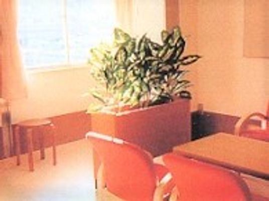 日差しが差し込む居室