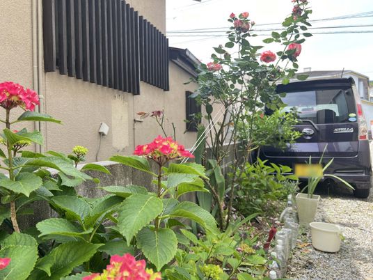 花が咲く中庭