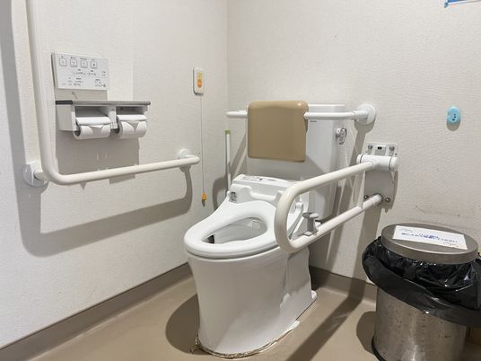 手すり付きの清潔なトイレ