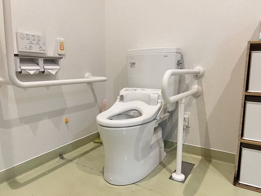 手すり付き清潔なトイレ