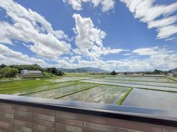 広がる緑の田園風景