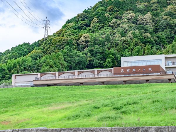 緑豊かな外観の建物